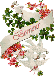 Gif animé bonjour colombe